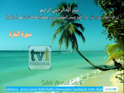 TV Islaamaa