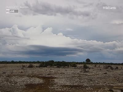 WildEarth HD